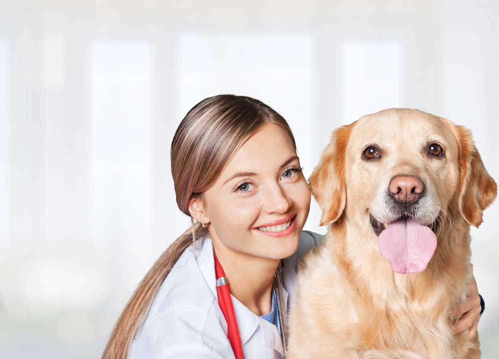 Pets and Pet Care